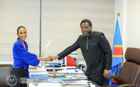 Partenariat public-privé : des échanges stratégiques entre le ministère provincial et Africa Avenir